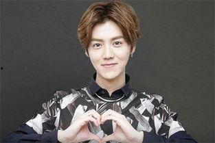 臧老师商业明星网红,商业明星网红的崛起之路