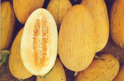 武汉哈密瓜今日价格,价格行情一览