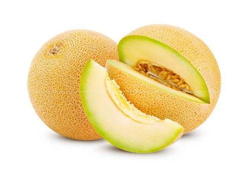 武汉哈密瓜今日价格,价格行情一览