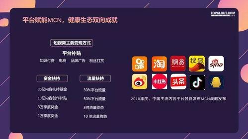 明星网红签的mcn,助力崛起的秘密武器