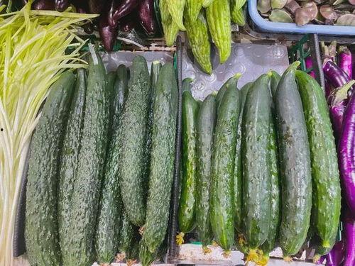 朝阳热门吃瓜事件,揭秘京城街头最新热议焦点