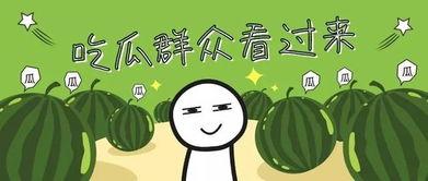 今日宜吃瓜小说全部,揭秘小说世界的精彩瞬间