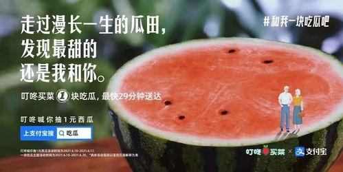 种瓜得瓜的热门文案,收获幸福人生