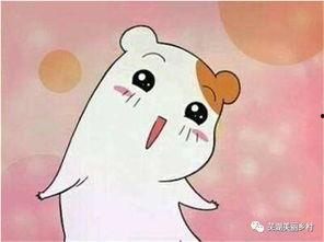 今日吃瓜往期福利