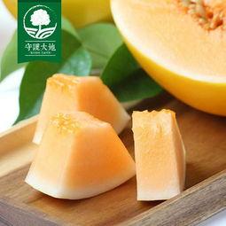 金玉红蜜瓜今日价格,价格行情一览