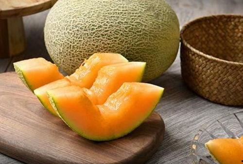 网纹哈密瓜热门视频,热门视频带你领略瓜中珍品