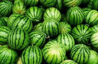 吃瓜群热门视频素材大全,笑料百出，揭秘娱乐圈幕后故事