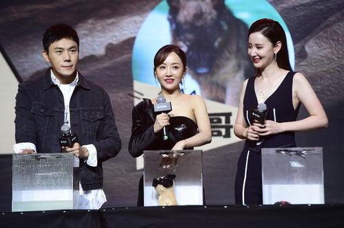 娱乐圈吃瓜爆料合集网盘,网盘收录吃瓜爆料合集大揭秘