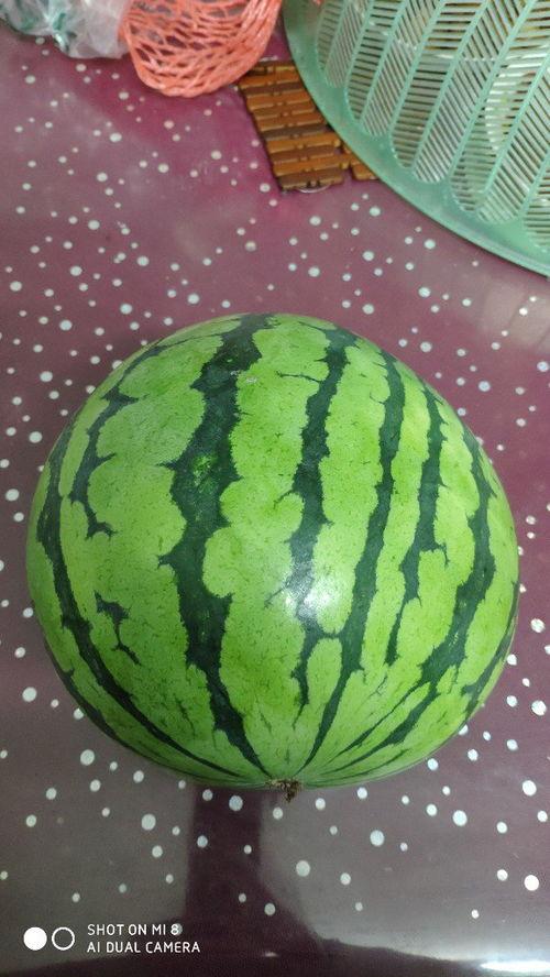 2023年热门大瓜,揭秘年度热点事件